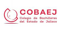 Cobaej